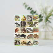 Wälder, Dschungel und Meeresschollen Kunst Postkarte (Stehend Vorderseite)