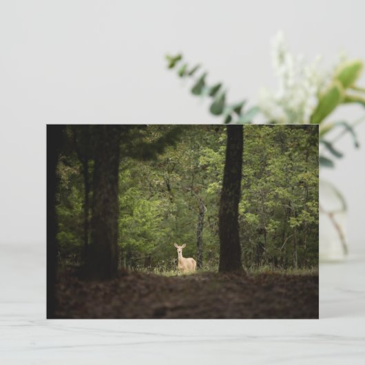 Wälder | Ein weißer Schwanz im Wald Dankeskarte (Stehend Vorderseite)