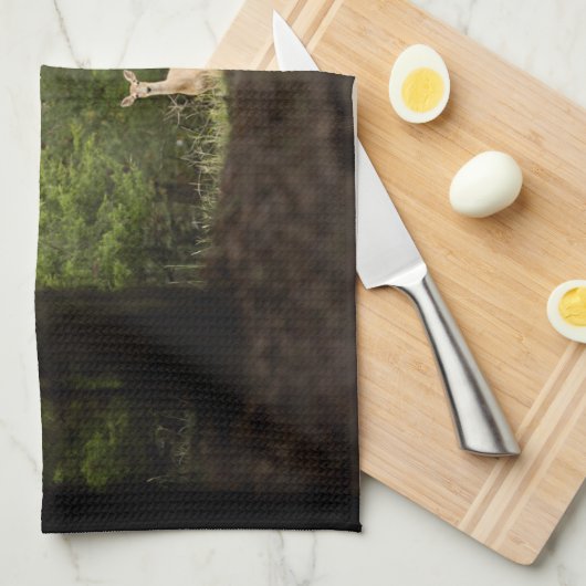 Wälder | Ein weißer Schwanz im Wald Geschirrtuch (Viertel Falte)