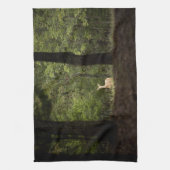 Wälder | Ein weißer Schwanz im Wald Geschirrtuch (Vertikal)