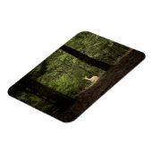 Wälder | Ein weißer Schwanz im Wald Magnet (Linke Seite)