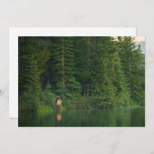 Wälder | Elch im Banff-Nationalpark Alberta Dankeskarte (Vorne/Hinten)