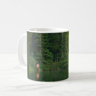 Wälder Elch im Banff-Nationalpark Alberta Kaffeetasse