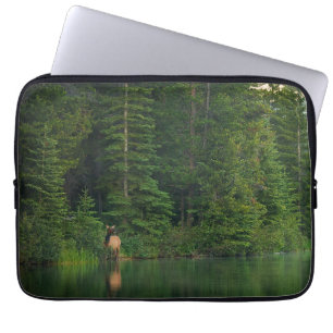 Wälder Elch im Banff-Nationalpark Alberta Laptopschutzhülle