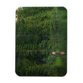 Wälder | Elch im Banff-Nationalpark Alberta Magnet (Vertikal)