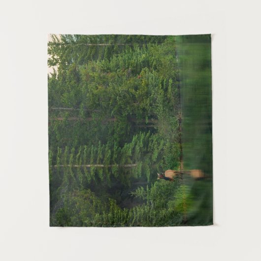 Wälder | Elch im Banff-Nationalpark Alberta Wandteppich (Vorderseite)