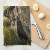 Wälder | Erzgebirge Deutschland Geschirrtuch (Viertel Falte)