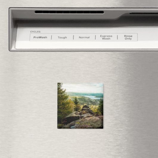 Wälder | Erzgebirge Deutschland Magnet (In Situ (Geschirrspüler))