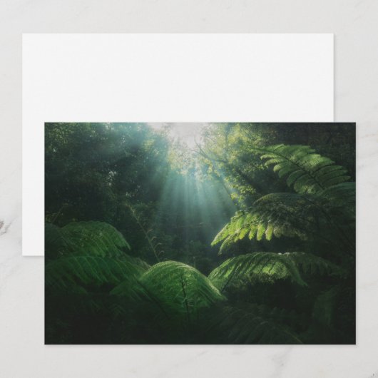 Wälder | Fernen im Regenwald Dankeskarte (Vorne/Hinten)