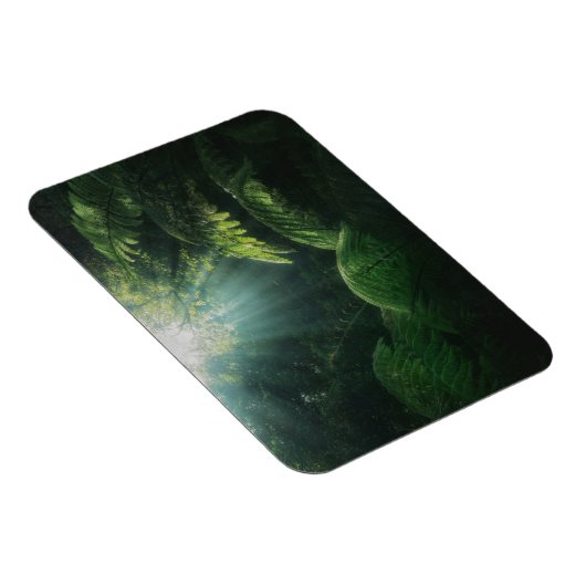 Wälder | Fernen im Regenwald Magnet (Rechte Seite)