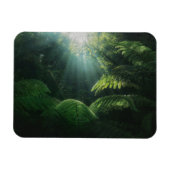 Wälder | Fernen im Regenwald Magnet (Horizontal)