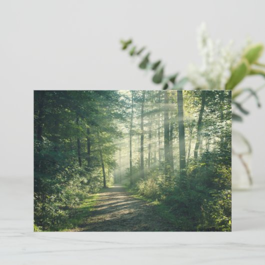 Wälder | Forstweg Hamburg Deutschland Dankeskarte (Stehend Vorderseite)