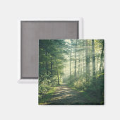 Wälder | Forstweg Hamburg Deutschland Magnet (Vorderseite/Rückseite)