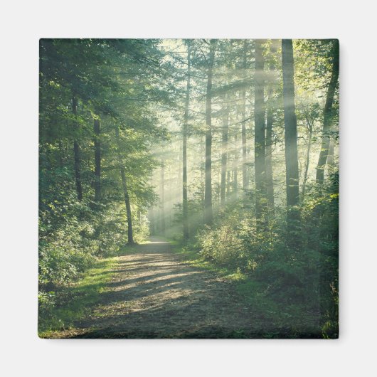 Wälder | Forstweg Hamburg Deutschland Magnet (Vorne)