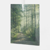 Wälder | Forstweg Hamburg Deutschland Ornament Aus Glas (Vorderseite links)