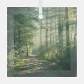 Wälder | Forstweg Hamburg Deutschland Ornament Aus Glas (Vorderseite)