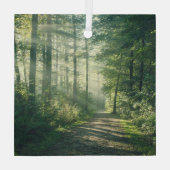 Wälder | Forstweg Hamburg Deutschland Ornament Aus Glas (Rückseite)