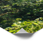 Wälder | Forstweg Hamburg Deutschland Poster (Ecke)