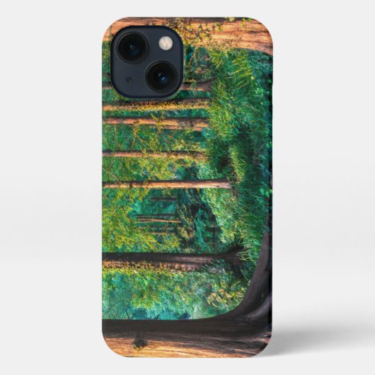 Wälder | Grünland und Wälder iPhone Hülle (Rückseite)