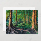 Wälder | Grünland und Wälder Postkarte (Vorne/Hinten)