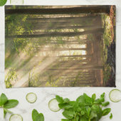 Wälder | Herbstwald Geschirrtuch (Gefaltet)