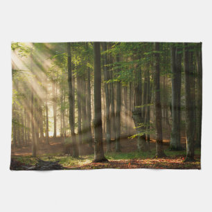 Wälder   Herbstwald Geschirrtuch