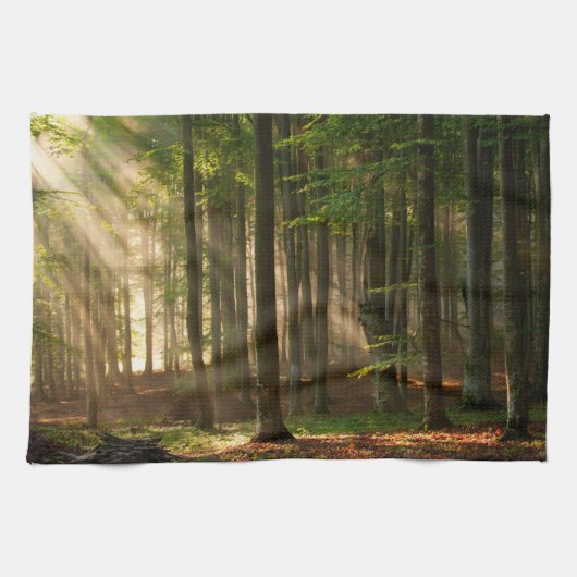 Wälder | Herbstwald Geschirrtuch (Horizontal)