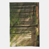 Wälder | Herbstwald Geschirrtuch (Vertikal)