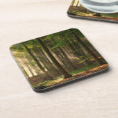 Wälder | Herbstwald Getränkeuntersetzer (Linke Seite)