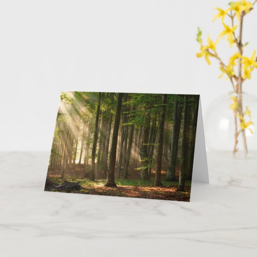 Wälder | Herbstwald Karte (Gelbe Blume)