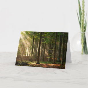 Wälder Herbstwald Karte