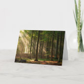 Wälder | Herbstwald Karte (Vorderseite)