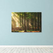 Wälder | Herbstwald Leinwanddruck (Insitu (Holzboden))