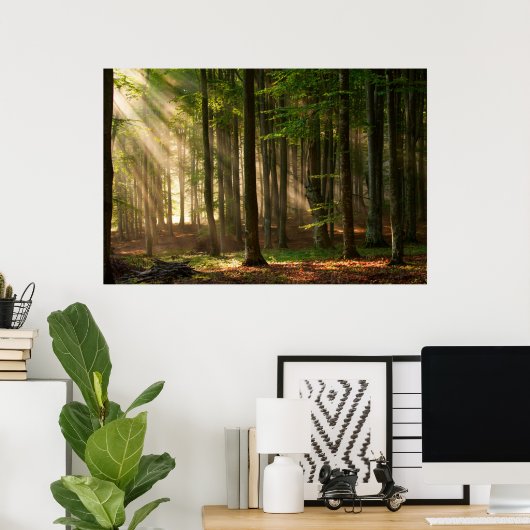 Wälder | Herbstwald Poster (Heimbüro)