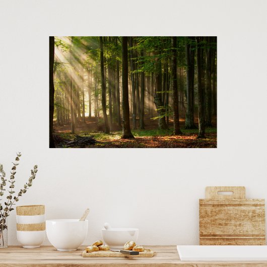 Wälder | Herbstwald Poster (Küche)
