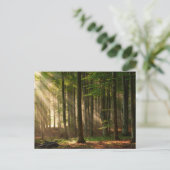 Wälder | Herbstwald Postkarte (Stehend Vorderseite)