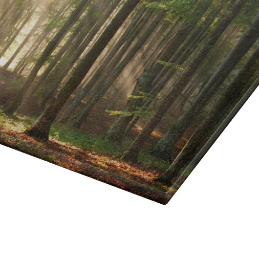 Wälder | Herbstwald Schneidebrett (Ecke)