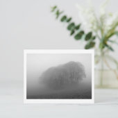 Wälder im Nebel: Cheshire, England Postkarte (Stehend Vorderseite)