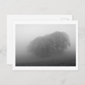 Wälder im Nebel: Cheshire, England Postkarte (Vorne/Hinten)