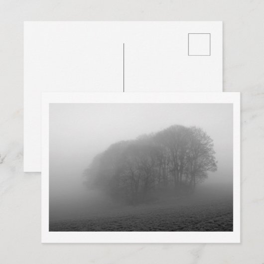 Wälder im Nebel: Cheshire, England Postkarte (Vorne/Hinten)