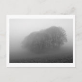 Wälder im Nebel: Cheshire, England Postkarte (Vorderseite)
