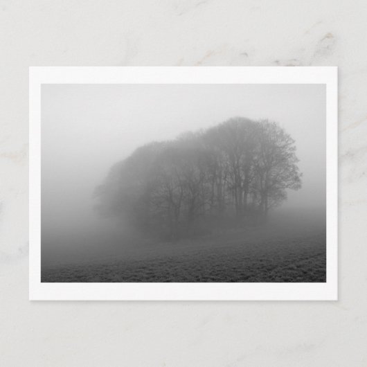 Wälder im Nebel: Cheshire, England Postkarte (Vorderseite)