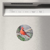 Wälder im nördlichen Kardinal Magnet (In Situ (Geschirrspüler))