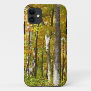 Wälder in Gelben Blätter Herbstlandschaft iPhone 11 Hülle