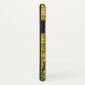 Wälder in Gelben Blätter Herbstlandschaft Case-Mate iPhone Hülle (Hinten/Rechts)