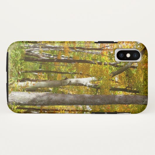 Wälder in Gelben Blätter Herbstlandschaft Case-Mate iPhone Hülle (Rückseite (Horizontal))