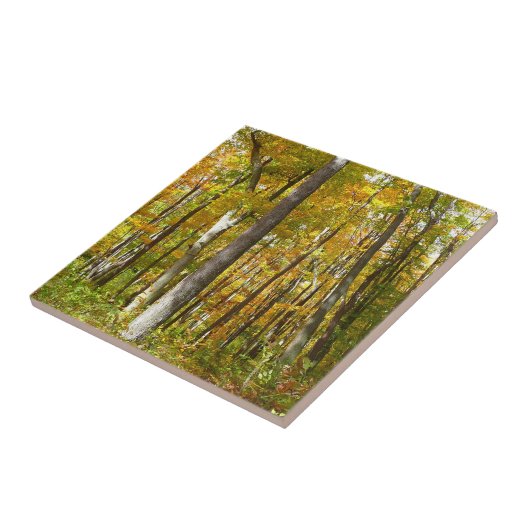 Wälder in Gelben Blätter Herbstlandschaft Fliese (Seite)