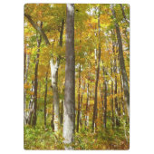 Wälder in Gelben Blätter Herbstlandschaft Klemmbrett (Rückseite)