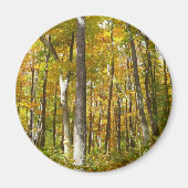 Wälder in Gelben Blätter Herbstlandschaft Magnet (Vorne)