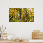 Wälder in Gelben Blätter Herbstlandschaft Poster (Küche)